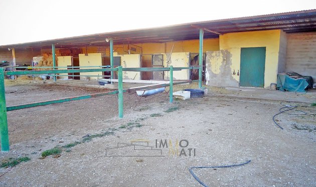 Equestrian property - Resale - Aspe -
                Aspe