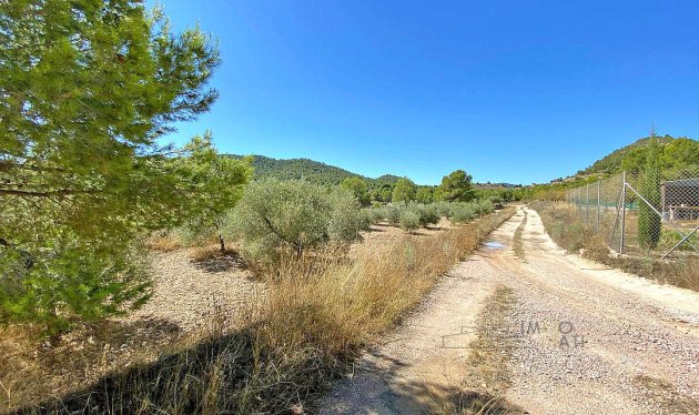 Equestrian property - Resale - Monóvar -
                Monovar