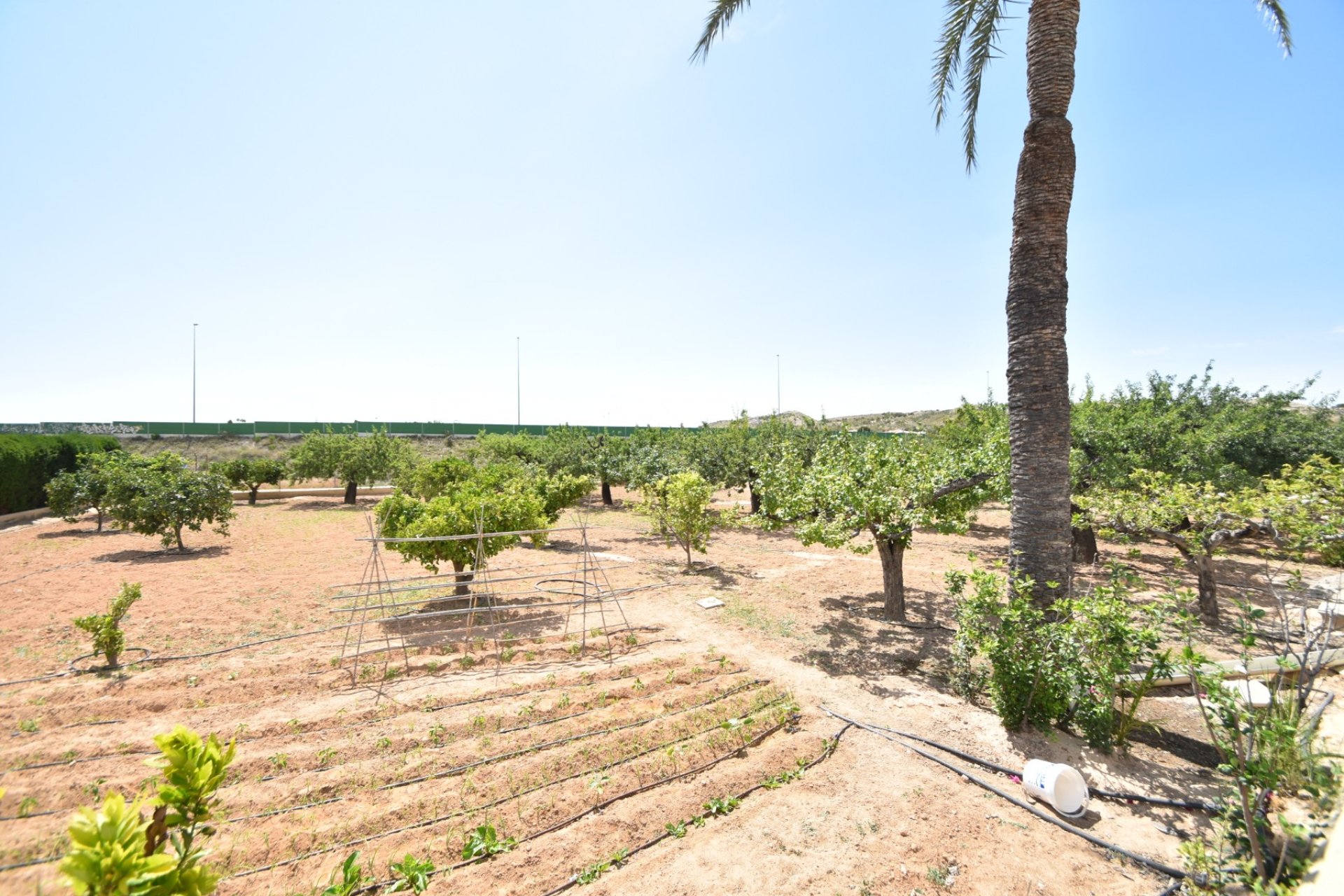 Herverkoop - Country House - Elche - Sierra