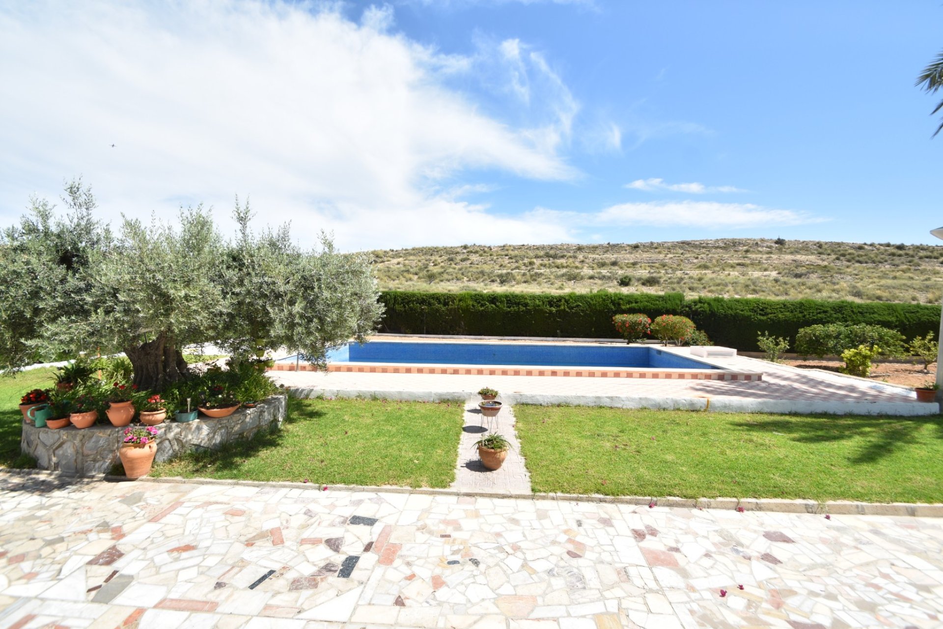 Herverkoop - Country House - Elche - Sierra