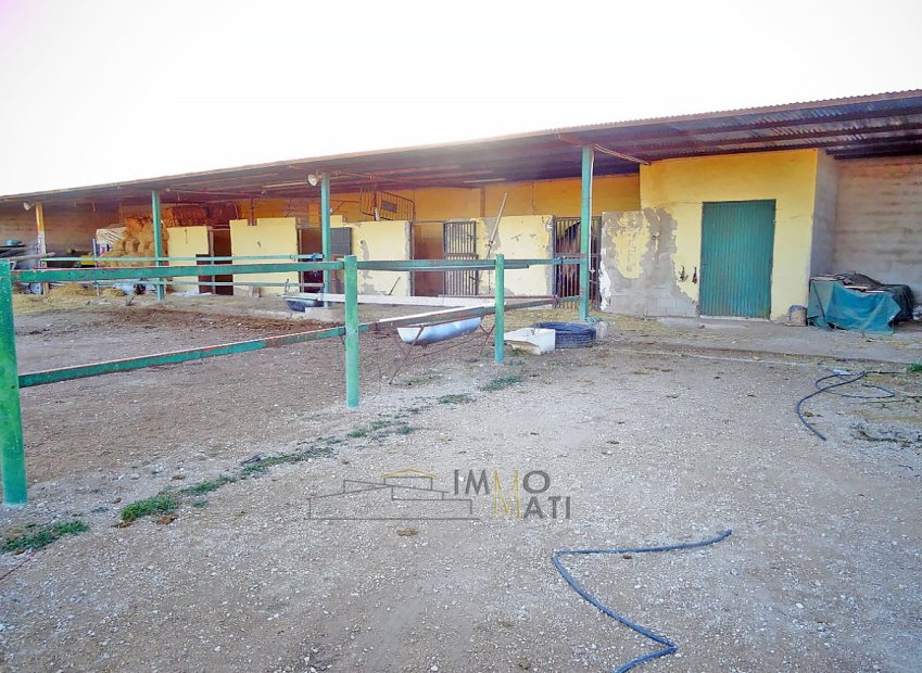 Herverkoop - Equestrian property - Aspe