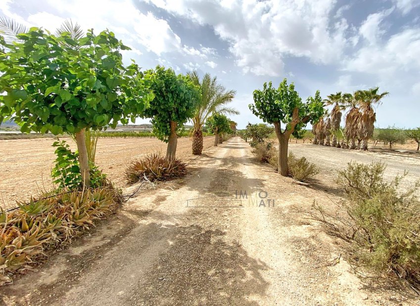 Herverkoop - Equestrian property - Monforte del Cid