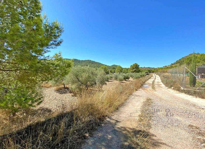 Herverkoop - Equestrian property - Monóvar - Monovar