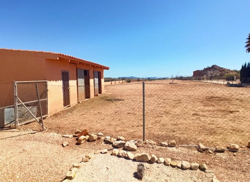 Herverkoop - Equestrian property - Novelda