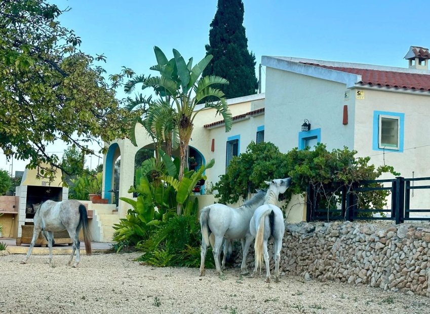 Herverkoop - Equestrian property - Polop