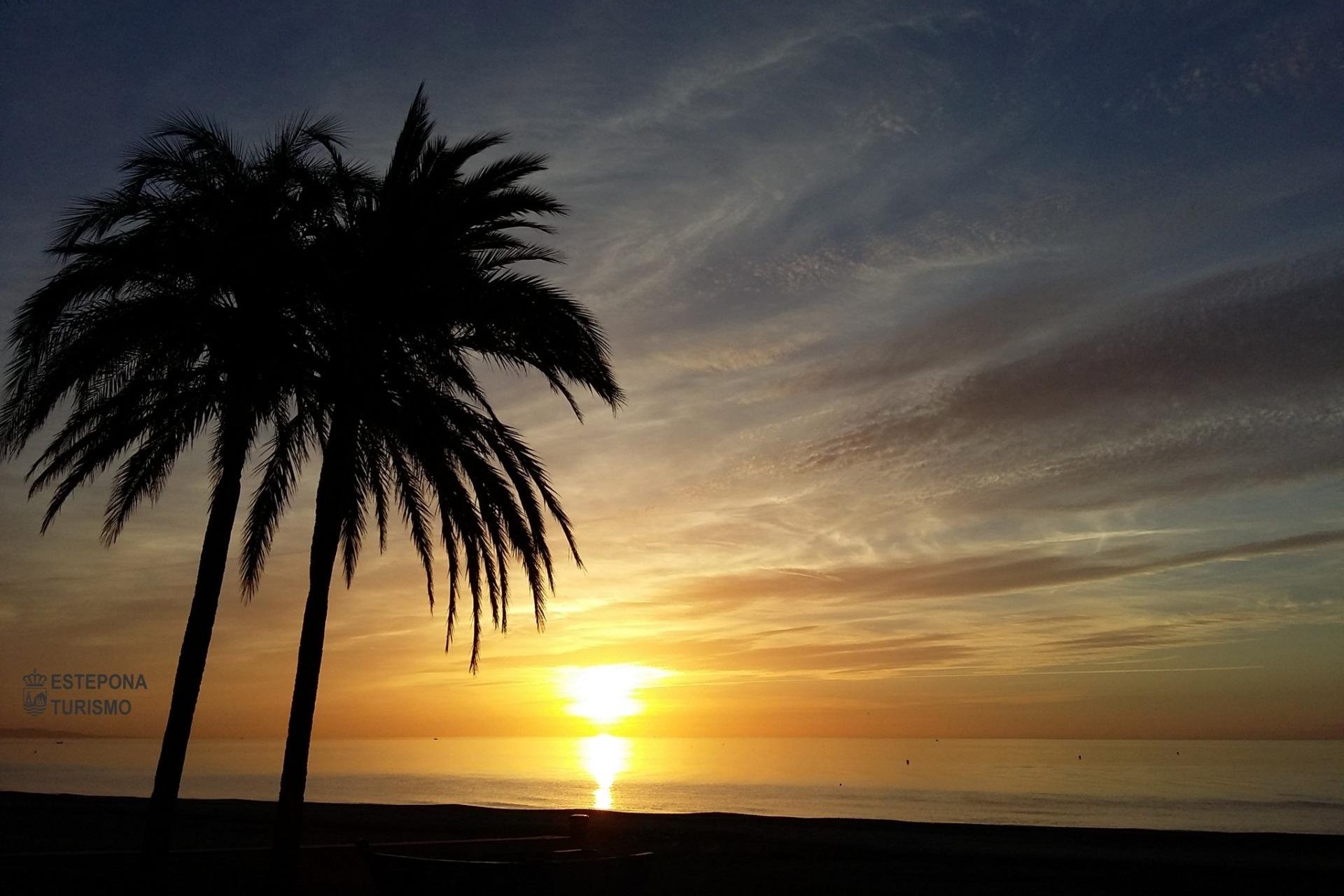 Neue Gebäude - Apartment - Estepona - Buenas Noches