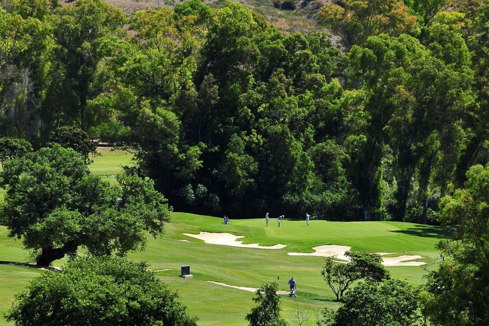 Neue Gebäude - Apartment - Mijas - Mijas Golf