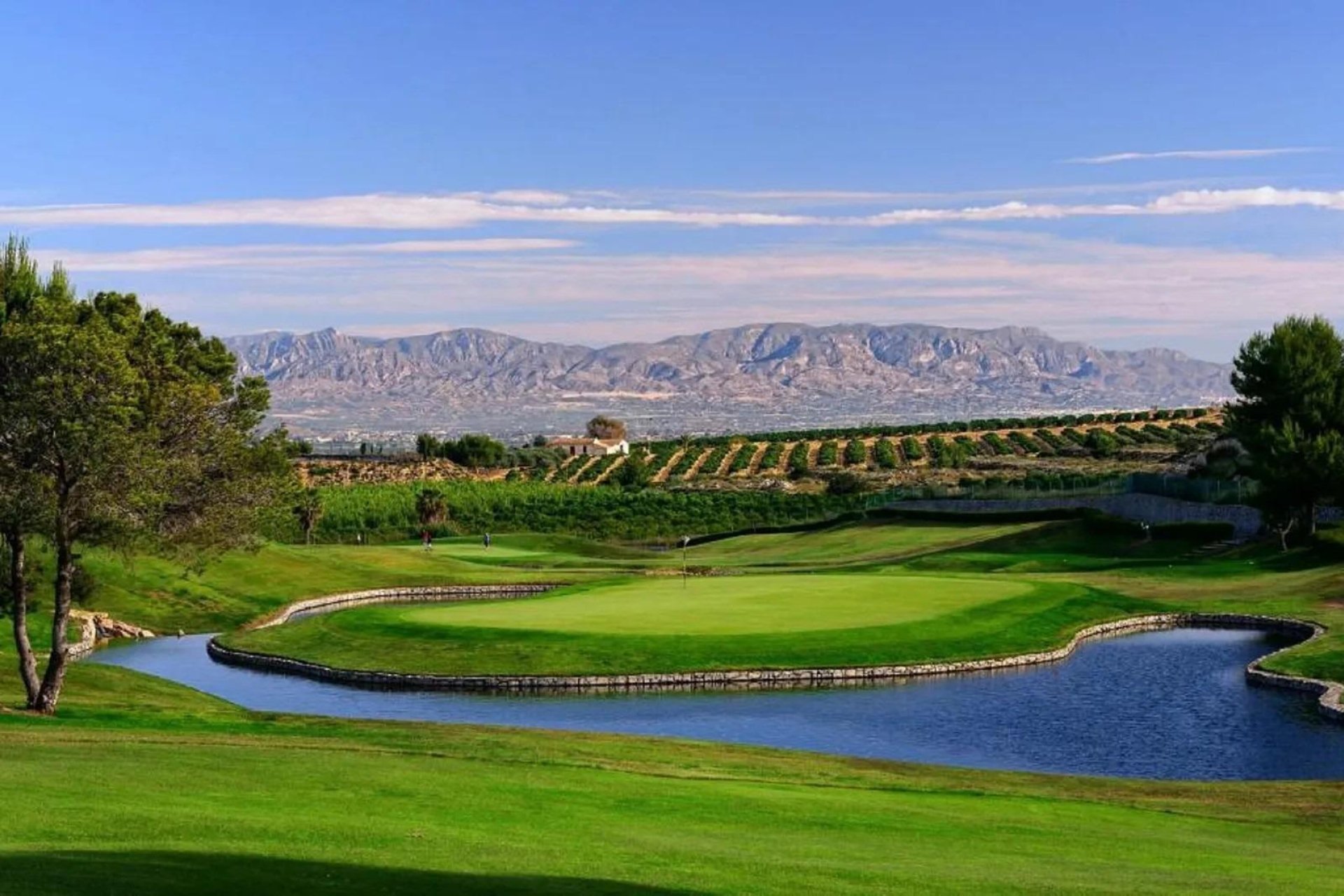 Neue Gebäude - Town House - Algorfa - La Finca Golf