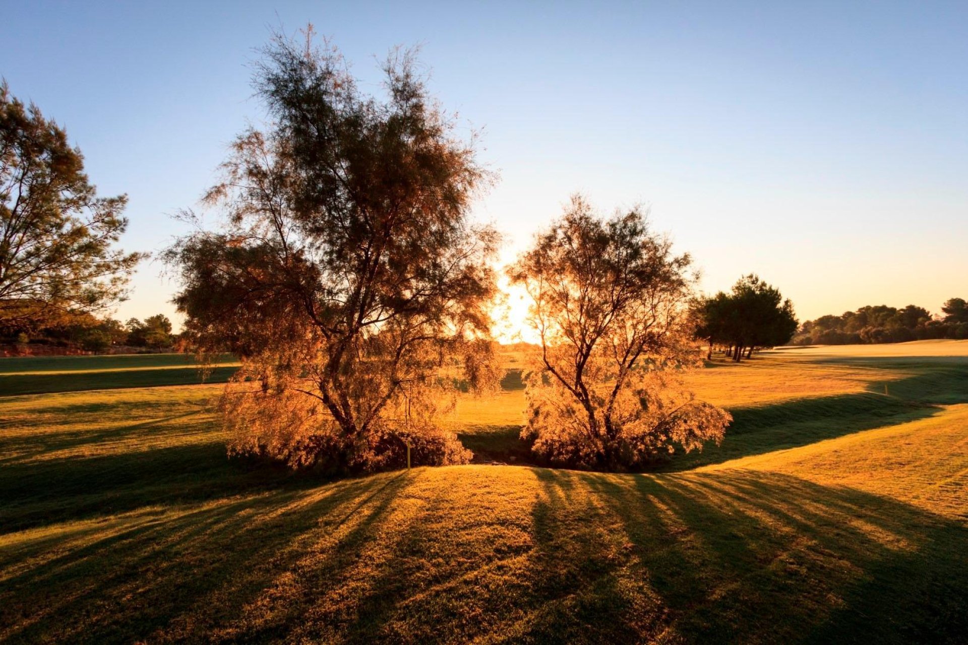 Neue Gebäude - Villa - Pilar de la Horadada - Lo Romero Golf