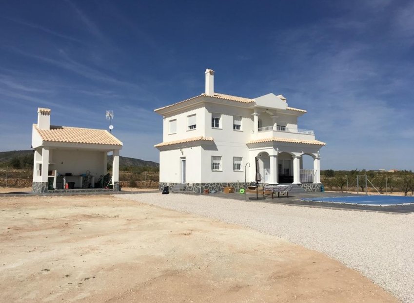 Neue Gebäude - Villa - Pinoso - Camino Del Prado