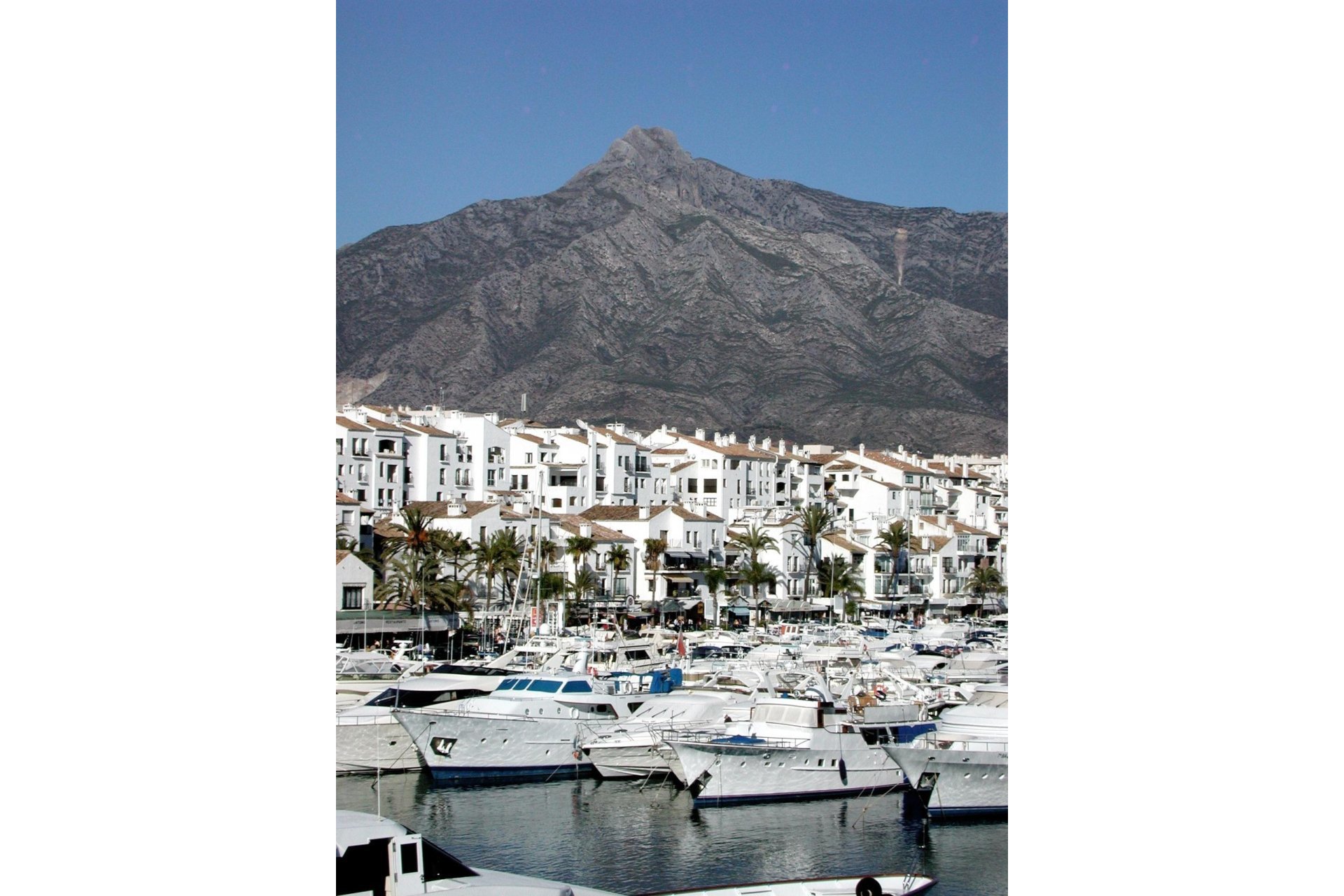 New Build - Apartment - Marbella - La Cerquilla