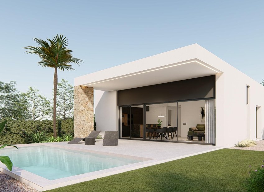 New Build - Villa - Molina De Segura - Urb. La Quinta