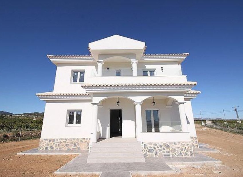 New Build - Villa - Pinoso - Camino Del Prado