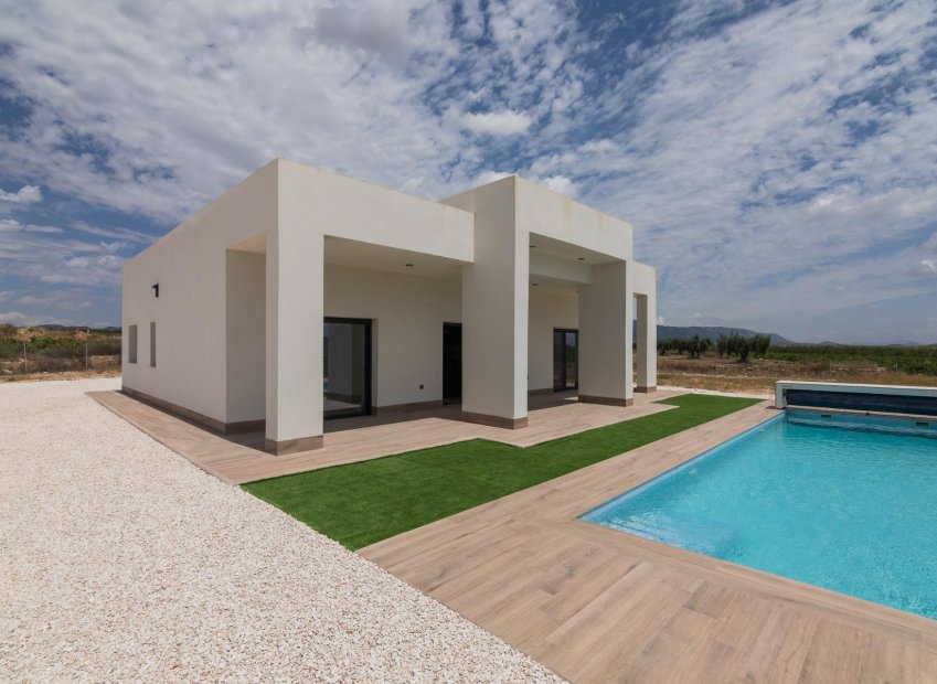 New Build - Villa - Pinoso - Campo