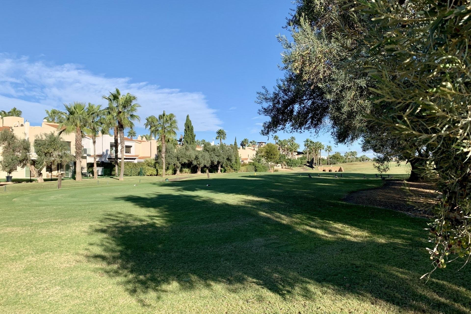 Nieuwbouw - Bungalow - San Javier - Roda Golf