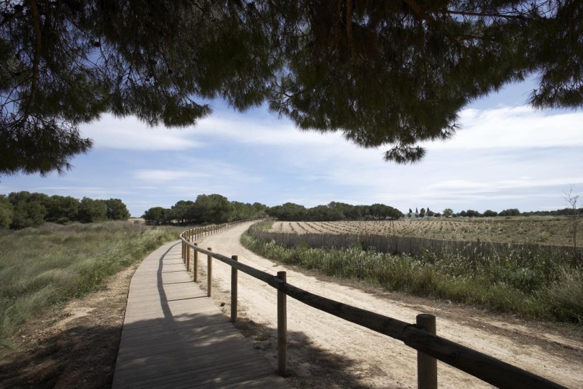 Nieuwbouw - Bungalow - Torrevieja - Altos del Sol