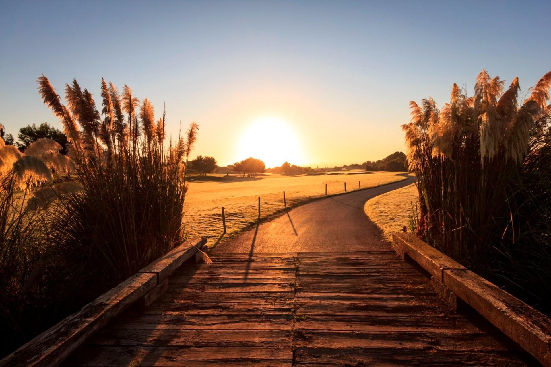 Nieuwbouw - Villa - Pilar de la Horadada - Lo Romero Golf