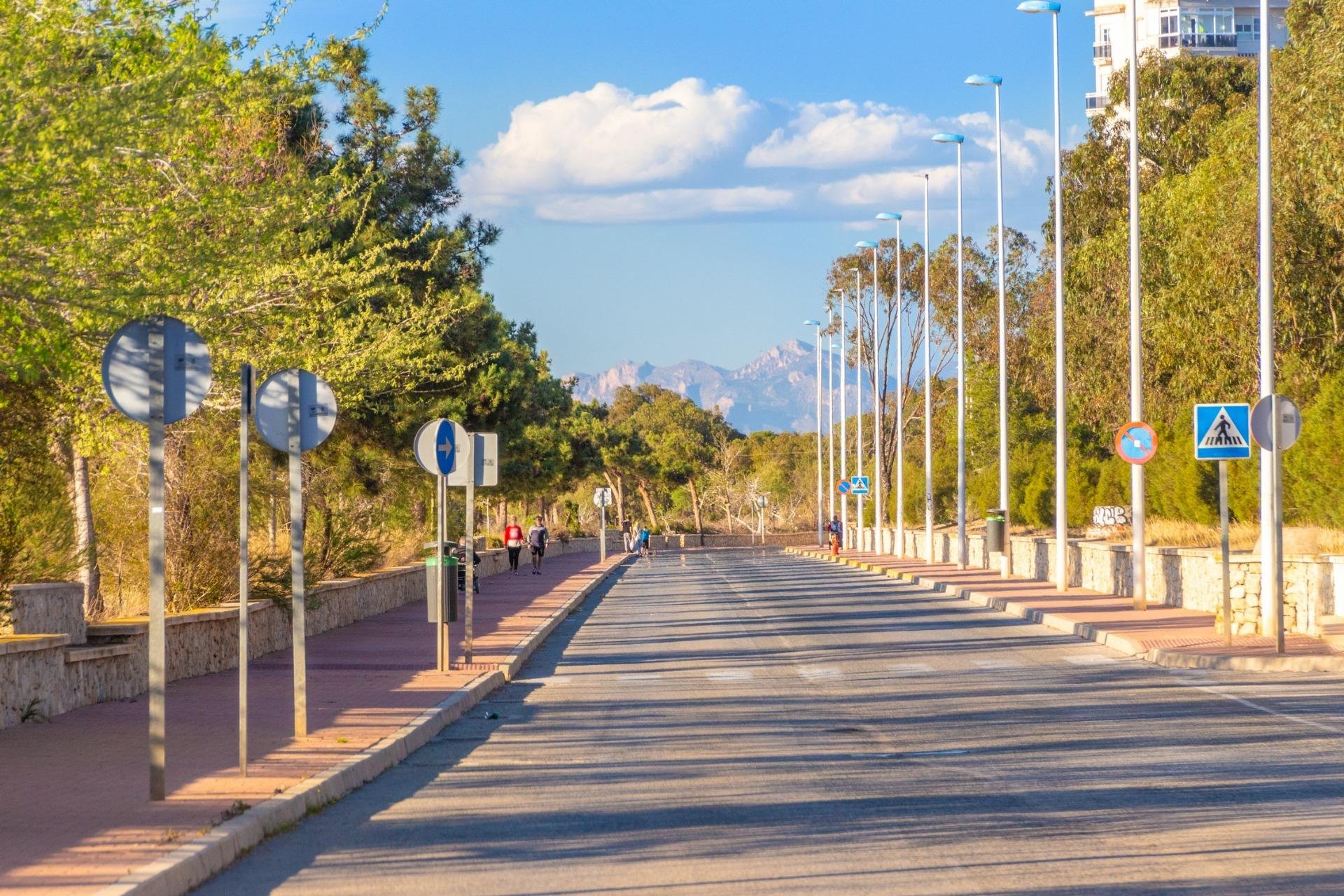 Obra nueva - Bungalow - Guardamar del Segura - Guardamar Del Segura