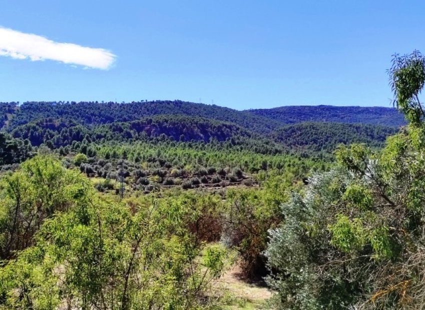 Resale - Country House - Alcoy