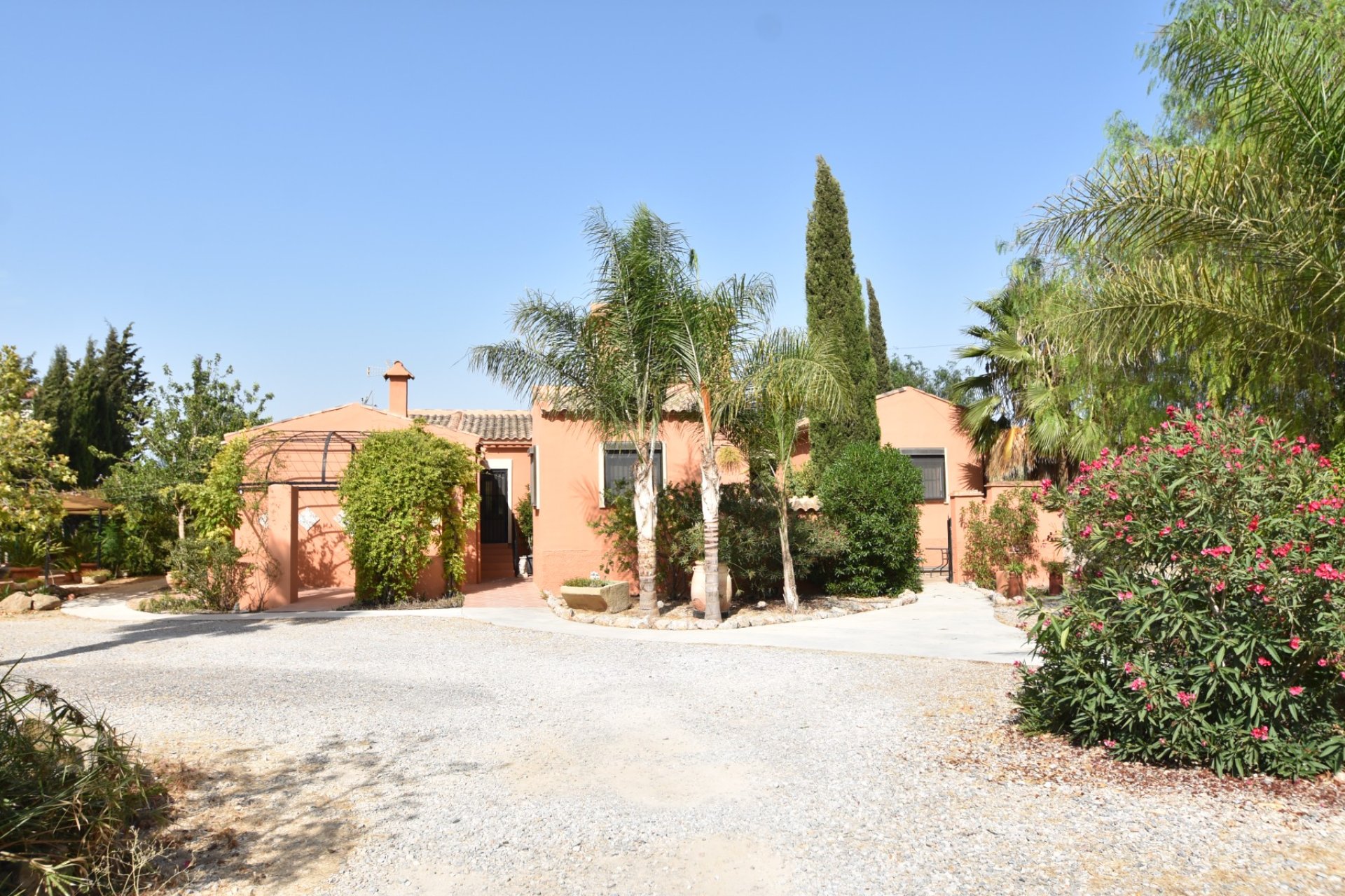 Reventa - Country House - Catral