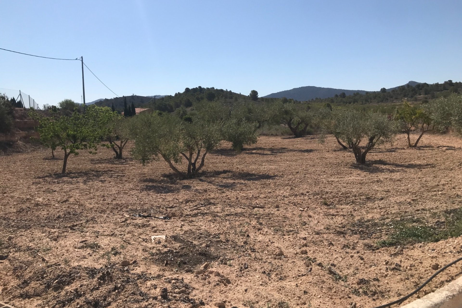 Reventa - Country House - Hondón de las Nieves - LA CANALOSA