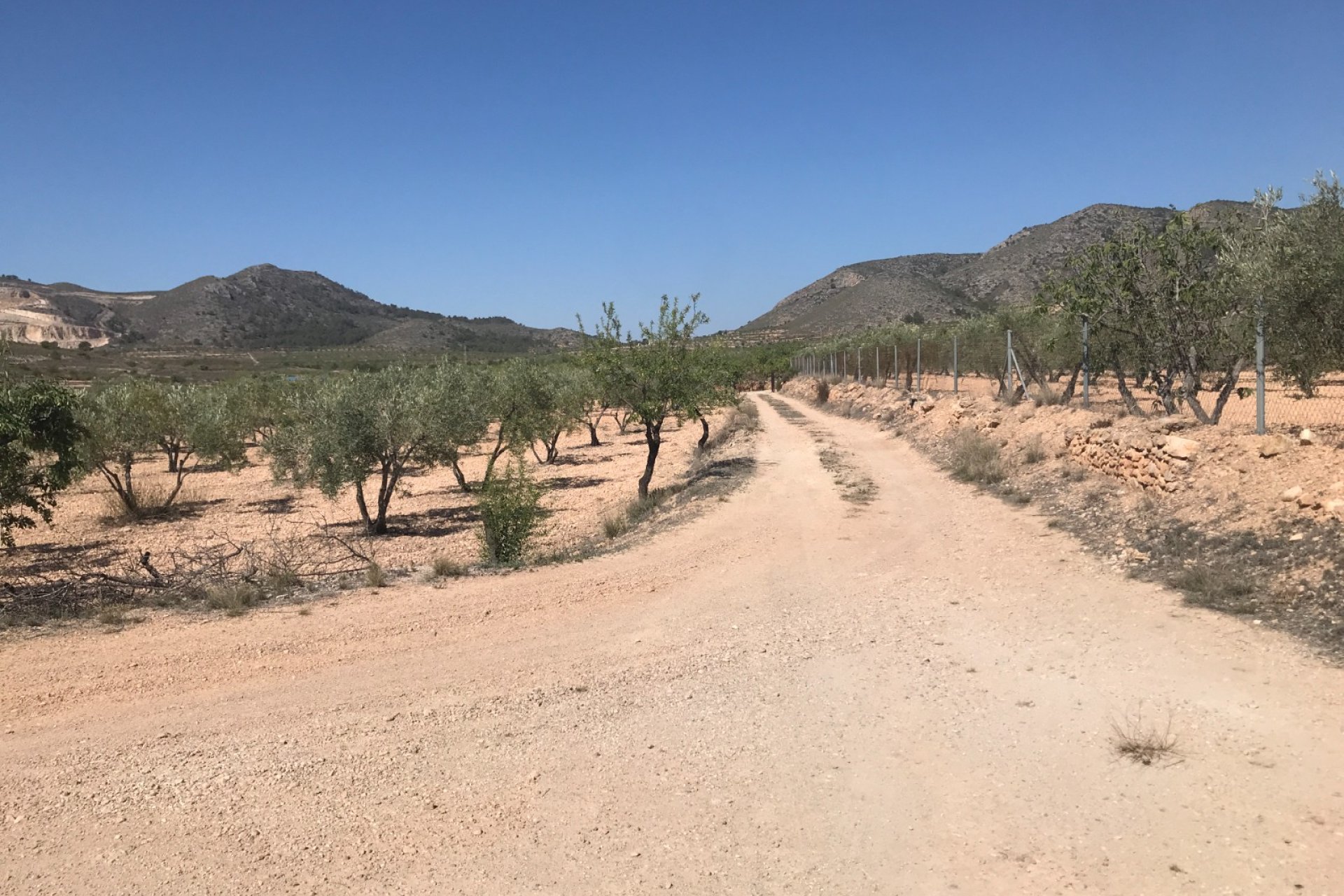 Reventa - Country House - Hondón de las Nieves - LA CANALOSA