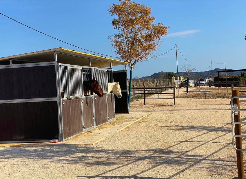 Reventa - Equestrian property - Pinoso