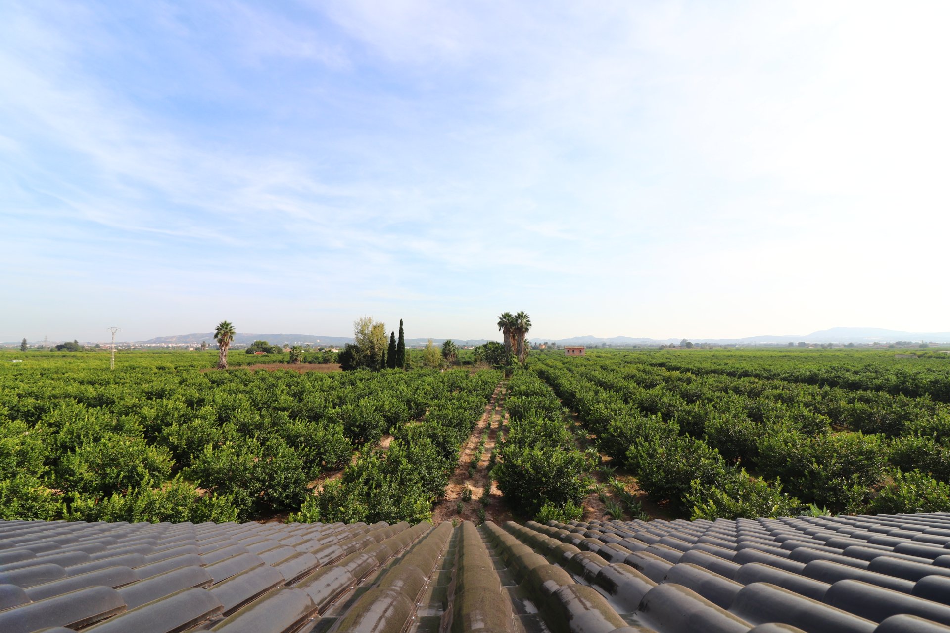 Wiederverkauf - Country House - Orihuela - La Campaneta