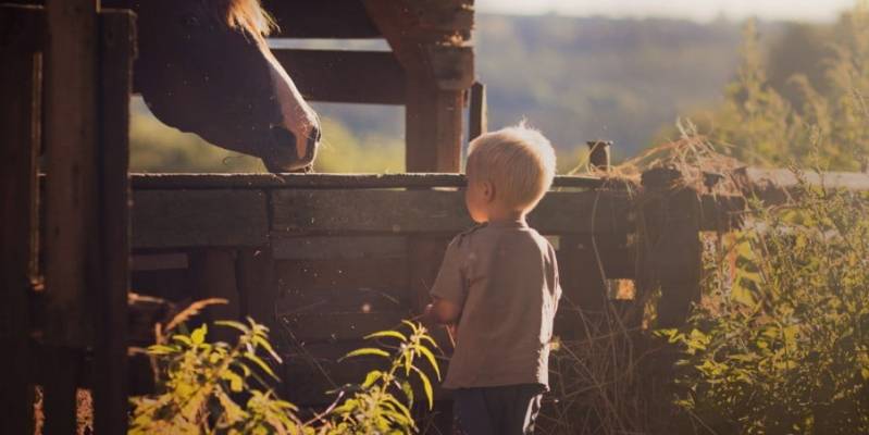 MET JE PAARD NAAR SPANJE? Hier ons stappenplan