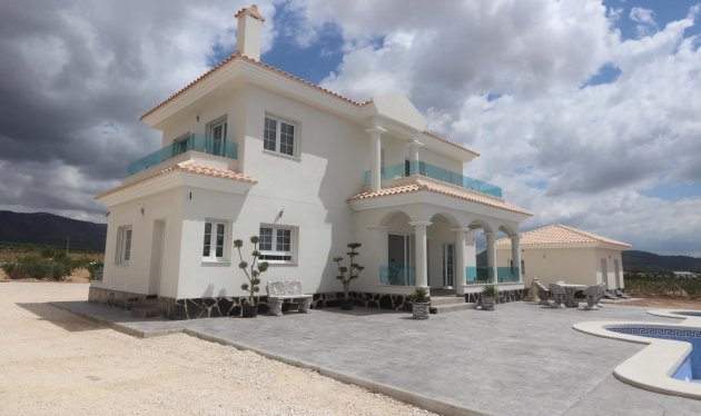 Nieuwbouw - Villa - Pinoso - Camino Del Prado