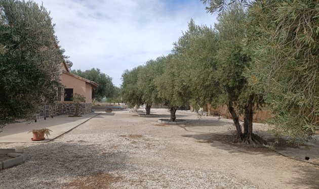 Herverkoop - Country House - Elche - Jubalcoi