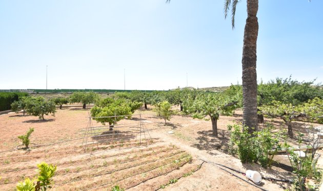 Herverkoop - Country House - Elche - Sierra