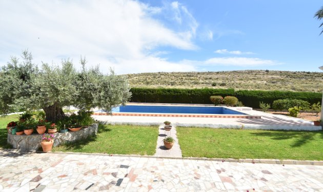 Herverkoop - Country House - Elche - Sierra