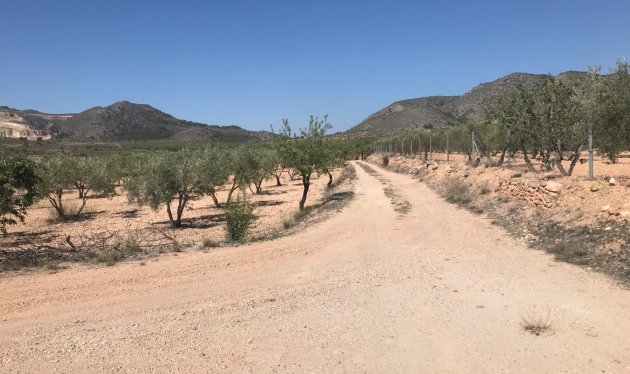 Herverkoop - Country House - Hondón de las Nieves - LA CANALOSA