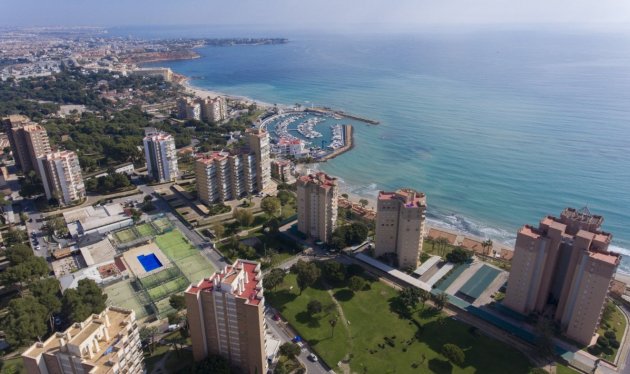 Nieuwbouw - Apartment - Orihuela Costa - Campoamor