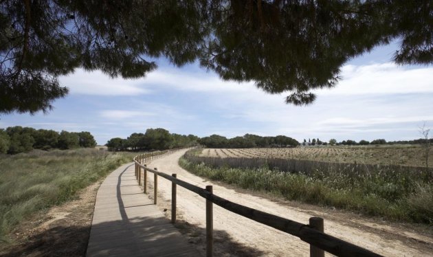 Nieuwbouw - Bungalow - Torrevieja - Torrejón