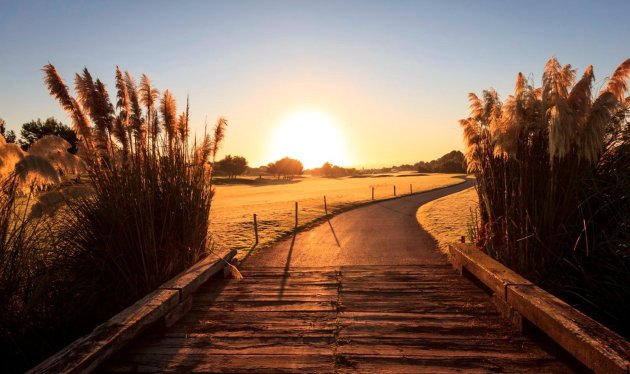 Nieuwbouw - Villa - Pilar de la Horadada - Lo Romero Golf