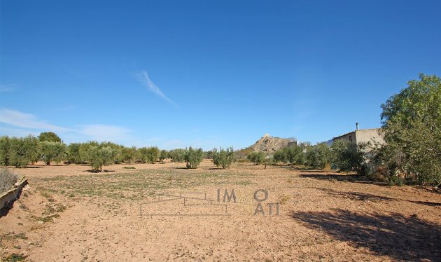 Herverkoop - Equestrian property - Yecla