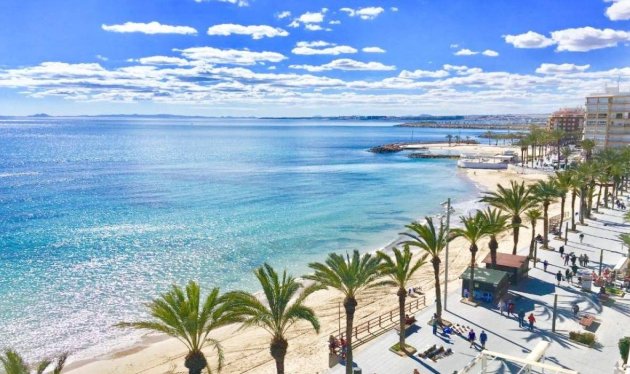 Nieuwbouw - Bungalow - Torrevieja - Lago Jardin