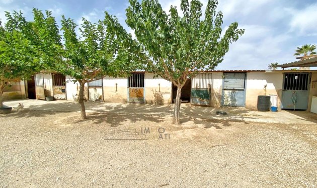 Herverkoop - Equestrian property - Monforte del Cid