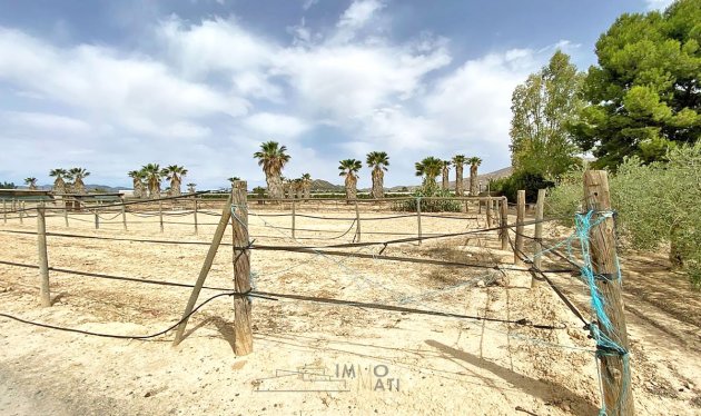 Herverkoop - Equestrian property - Monforte del Cid