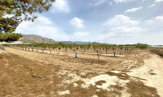 Herverkoop - Equestrian property - Monforte del Cid