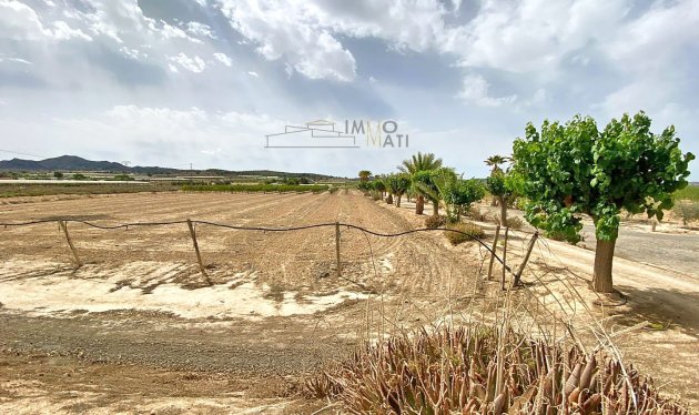 Herverkoop - Equestrian property - Monforte del Cid