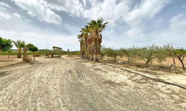 Herverkoop - Equestrian property - Monforte del Cid