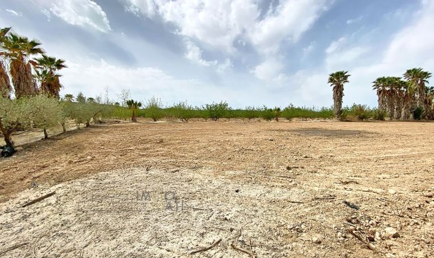 Herverkoop - Equestrian property - Monforte del Cid