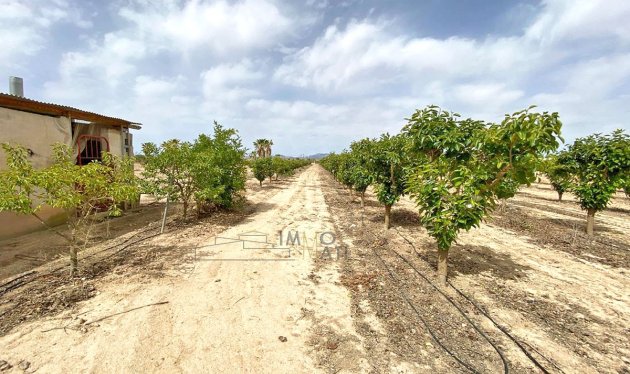 Herverkoop - Equestrian property - Monforte del Cid