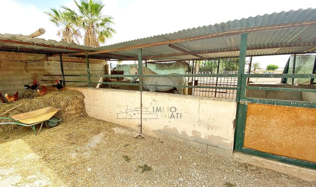 Herverkoop - Equestrian property - Monforte del Cid