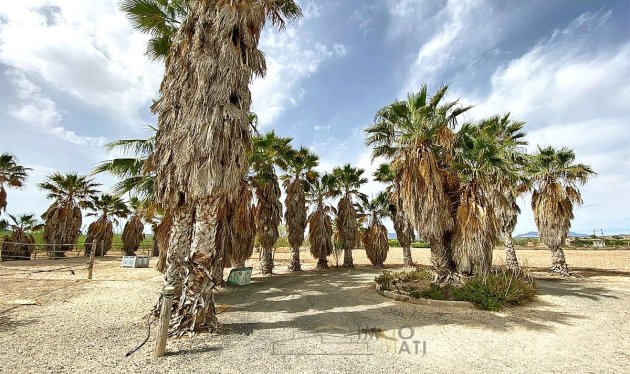 Herverkoop - Equestrian property - Monforte del Cid