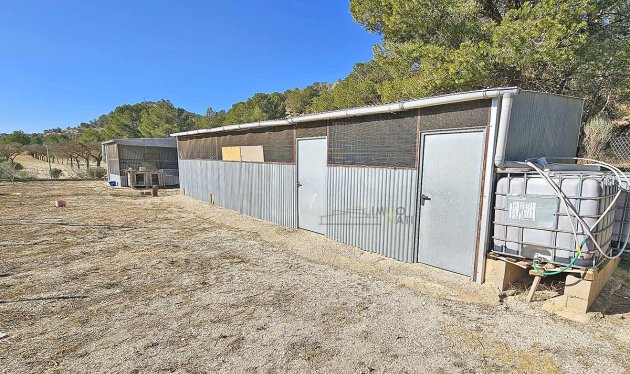 Herverkoop - Equestrian property - Monóvar - Monovar