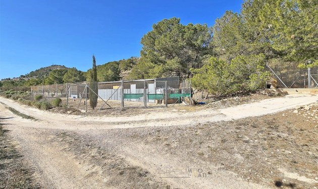 Herverkoop - Equestrian property - Monóvar - Monovar